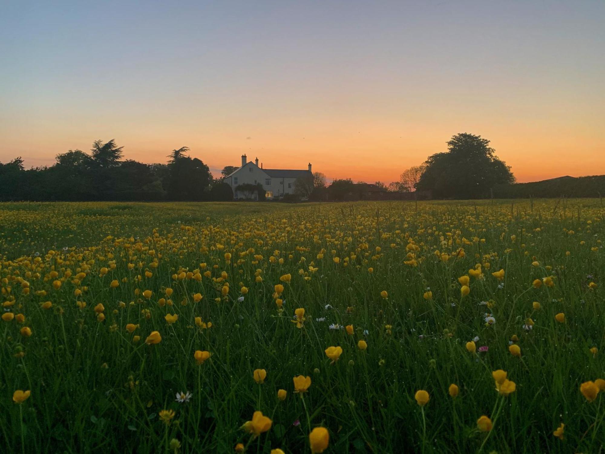 The Chestnuts Country House Boutique B&B Kilvington 外观 照片